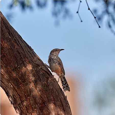 دانلود آهنگ زمستون علی علیرضایی